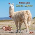 Cover-Bild zum Titel 'No Drama Llama 2024' von ''