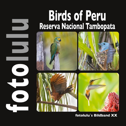 Birds of Peru - Sr. Fotolulu