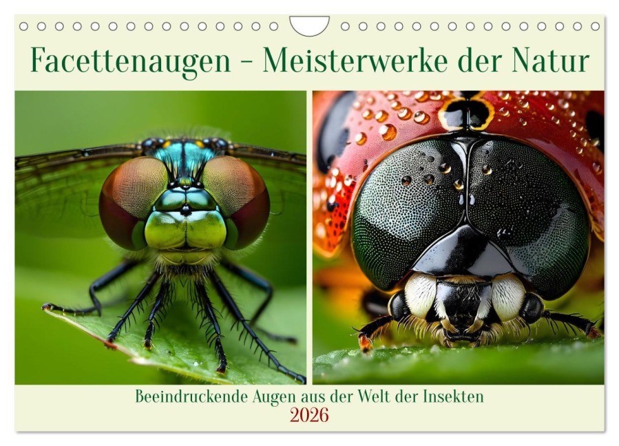 Facettenaugen - Meisterwerke der Natur (Wandkalender 2026 DIN A4 quer), CALVENDO Monatskalender - Claudia Kleemann