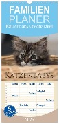 Familienplaner 2025 - Katzenbabys beobachtet mit 5 Spalten (Wandkalender, 21 x 45 cm) CALVENDO - Christiane Calmbacher