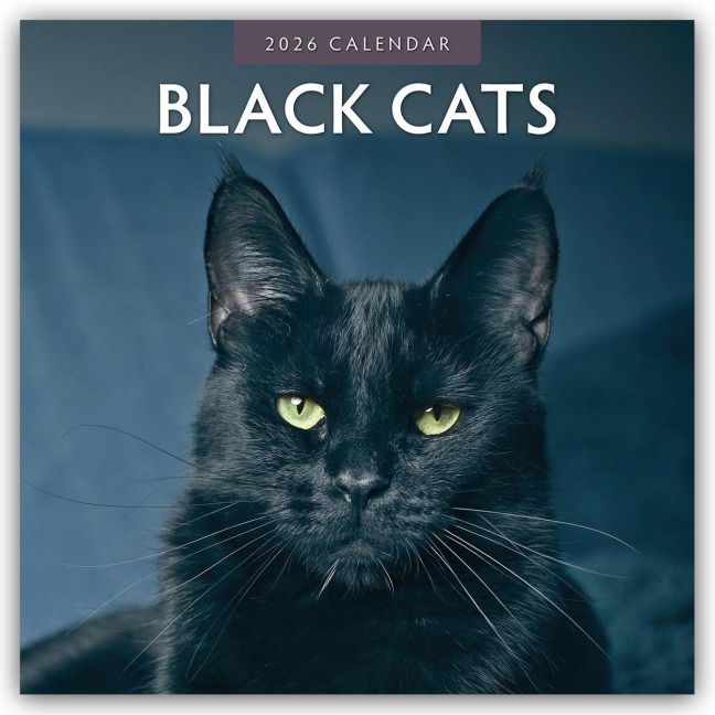 Black Cats - Schwarze Katzen 2026 - 16-Monatskalender - Robin Red