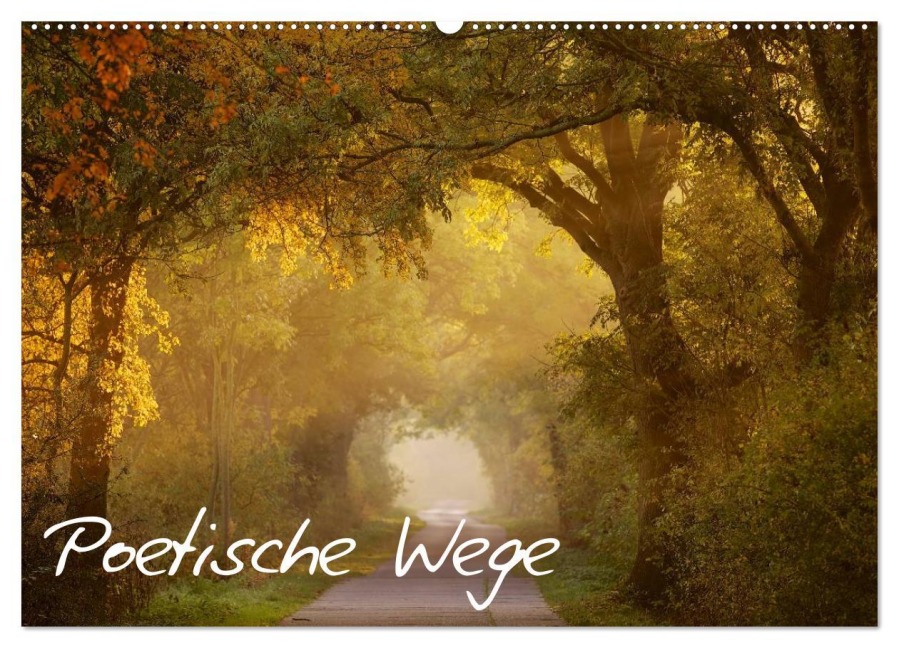 Poetische Wege (Wandkalender 2026 DIN A2 quer), CALVENDO Monatskalender - Jens Kalanke