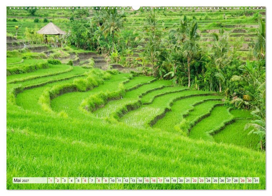 InsideView 10