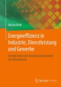 Energieeffizienz in Industrie, Dienstleistung und Gewerbe - Martin Dehli