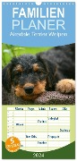 Familienplaner 2024 - Airedale Terrier Welpen mit 5 Spalten (Wandkalender, 21 x 45 cm) CALVENDO - Susan Milau