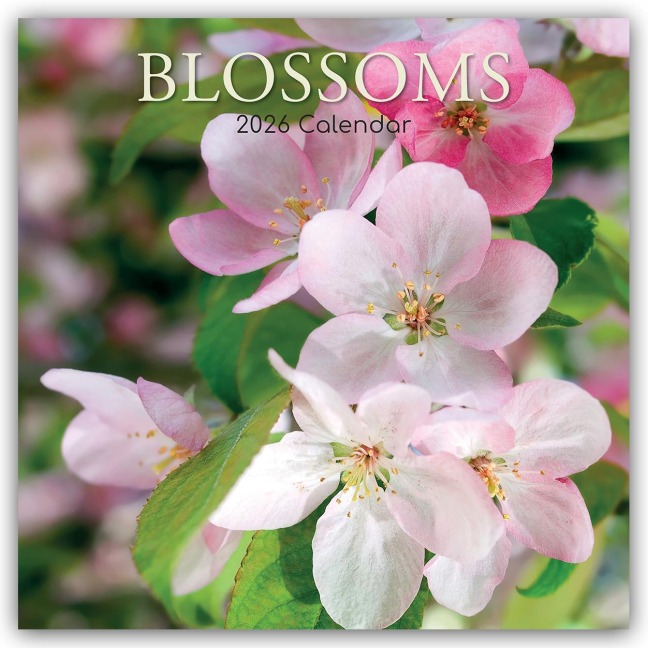 Blossoms - Blüten 2026 - 16-Monatskalender - The Gifted