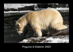 Cover-Bild zum Titel 'Pinguine & Eisbären 2025 Fotokalender DIN A3' von 'Tobias Becker'