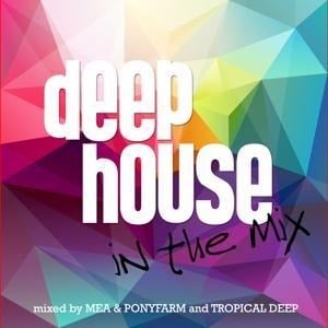 Deep House In The Mix - Various