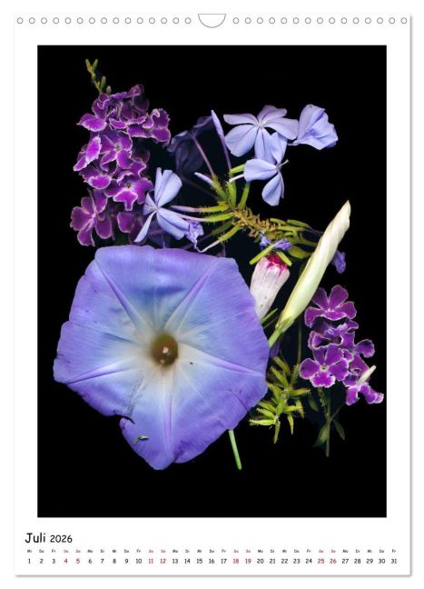 InsideView 12