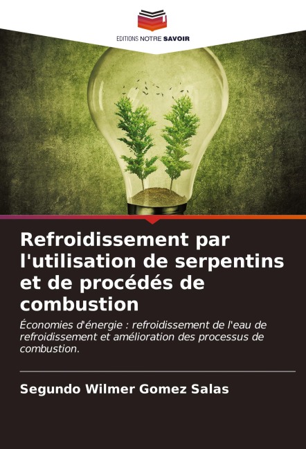 Refroidissement par l'utilisation de serpentins et de procédés de combustion - Segundo Wilmer Gomez Salas