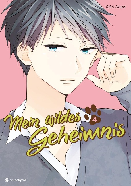 Mein wildes Geheimnis 04 - Yoko Nogiri