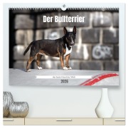 Cover-Bild zum Titel 'Der Bullterrier der beste Hund der Welt (hochwertiger Premium Wandkalender 2026 DIN A2 quer), Kunstdruck in Hochglanz' von 'Yvonne Janetzek'