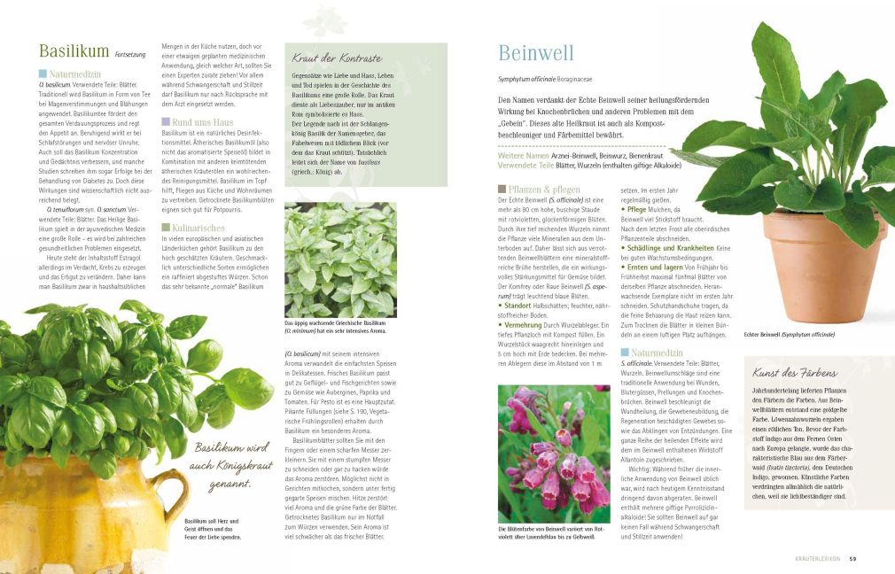 InsideView 5