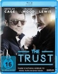 Cover-Bild zum Titel 'The Trust' von 'Benjamin Brewer, Adam Hirsch, Reza Safinia'