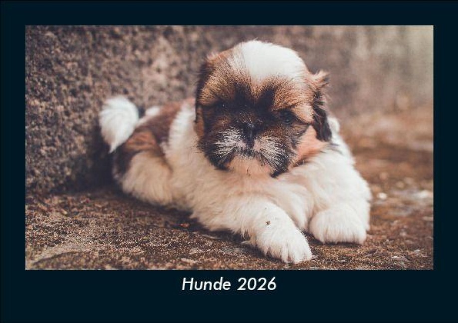 Hunde 2026 Fotokalender DIN A5 - Tobias Becker