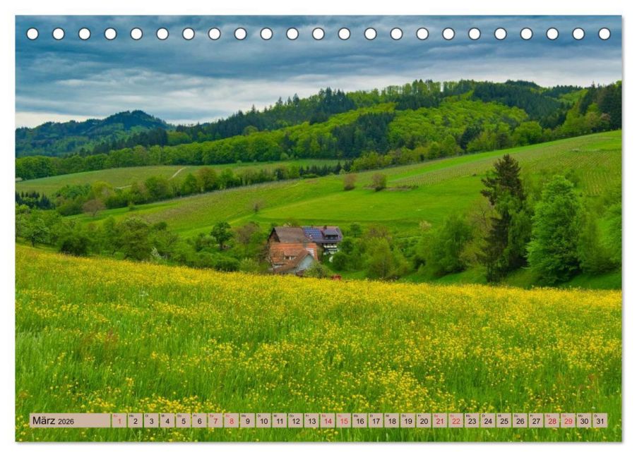 InsideView 8