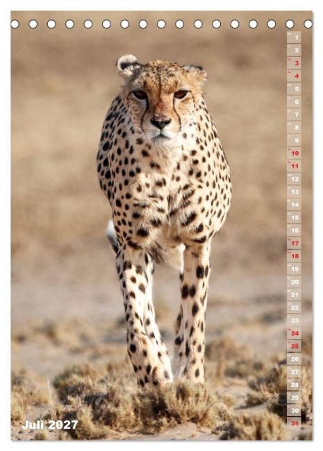 InsideView 12
