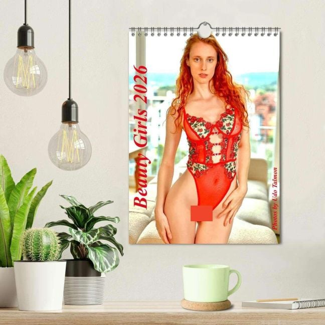 InsideView 1
