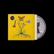 Cover-Bild zum Titel 'Like A Ribbon' von 'John Glacier'