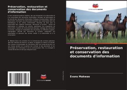Cover-Bild zum Titel 'Préservation, restauration et conservation des documents d'information' von 'Evans Makwae'