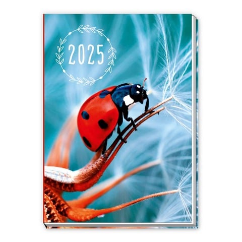 Trötsch Taschenkalender A7 Marienkäfer 2025 - 