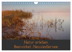 Cover-Bild zum Titel 'Natur erleben Seewinkel-Neusiedlersee (Wandkalender 2026 DIN A4 quer), CALVENDO Monatskalender' von 'Johann Schörkhuber'
