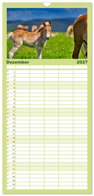 InsideView 3