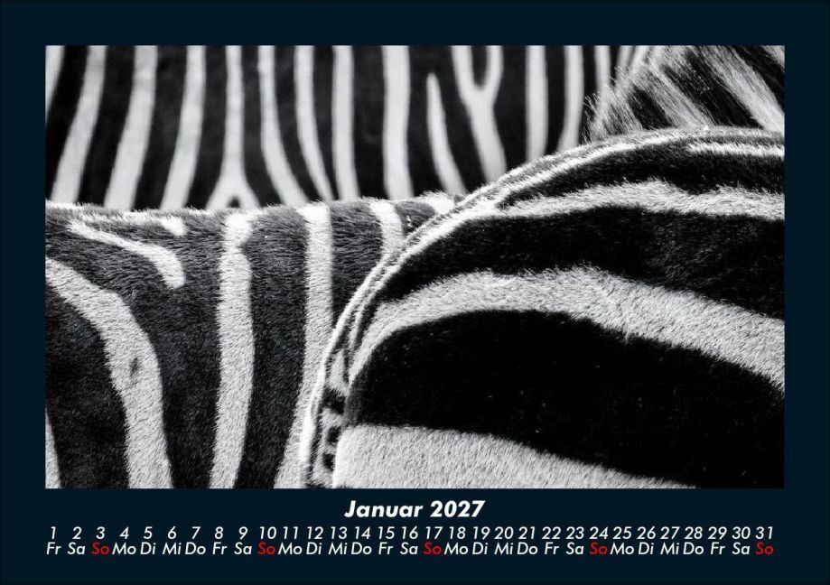 InsideView 5