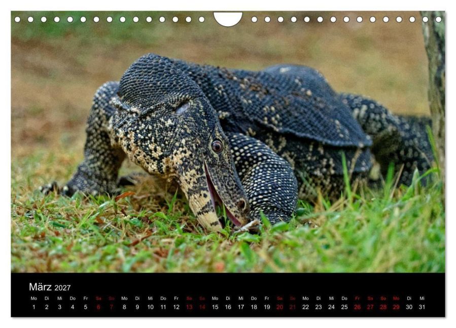 InsideView 8