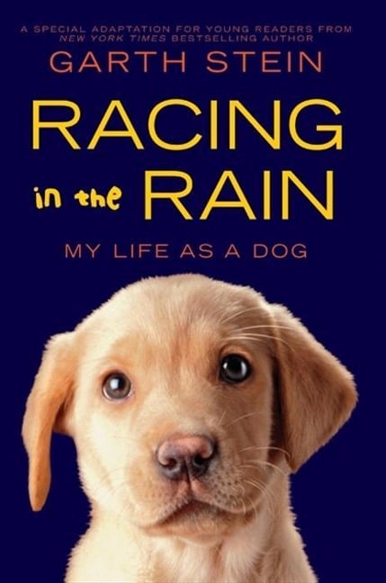 Racing in the Rain - Garth Stein