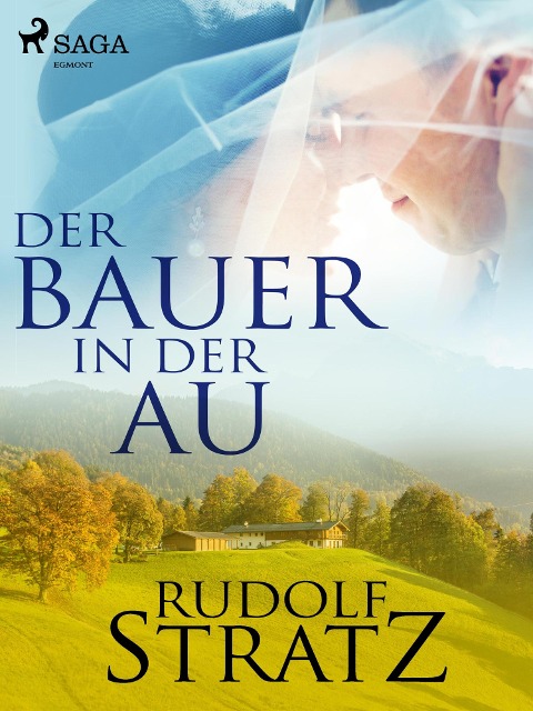 Der Bauer in der Au - Rudolf Stratz