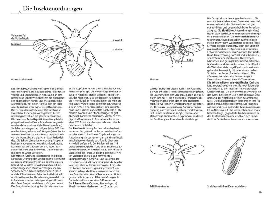 InsideView 2
