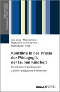 Cover-Bild zum Titel 'Konflikte in der Praxis der Pädagogik der frühen Kindheit' von ''