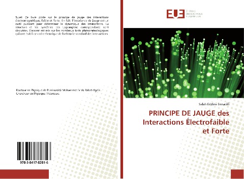 PRINCIPE DE JAUGE des Interactions Électrofaible et Forte - Salah Eddine Ennadifi