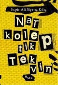 Cover-Bild zum Titel 'Narkoleptik Tekvin' von 'Espir Ali Siyenc Kilic'