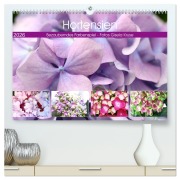 Hortensien Bezauberndes Farbenspiel (hochwertiger Premium Wandkalender 2026 DIN A2 quer), Kunstdruck in Hochglanz - Gisela Kruse