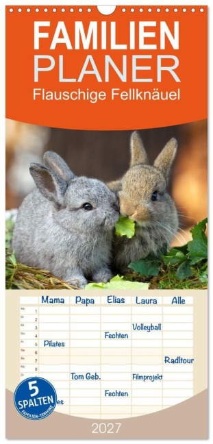 Familienplaner 2027 - Flauschige Fellknäuel mit 5 Spalten (Wandkalender, 21 x 45 cm) CALVENDO - Tina Olbrich