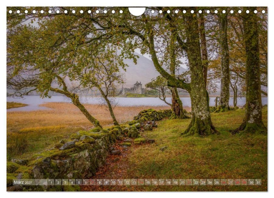 InsideView 8