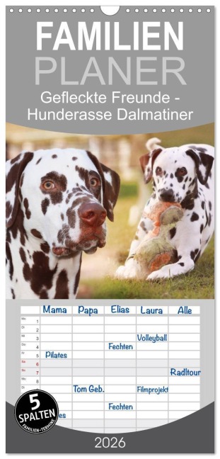Familienplaner 2026 - Gefleckte Freunde - Hunderasse Dalmatiner mit 5 Spalten (Wandkalender, 21 x 45 cm) CALVENDO - Barbara Mielewczyk