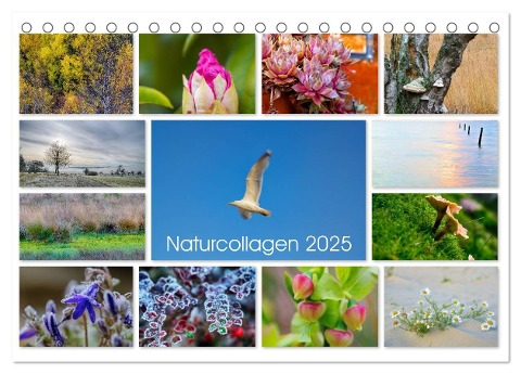 Naturcollagen 2025 (Tischkalender 2025 DIN A5 quer), CALVENDO Monatskalender - Christine Nöh