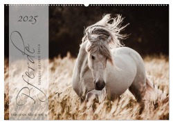 Pferde - Spiegel deiner Seele (Wandkalender 2025 DIN A2 quer), CALVENDO Monatskalender - Sabrina Mischnik