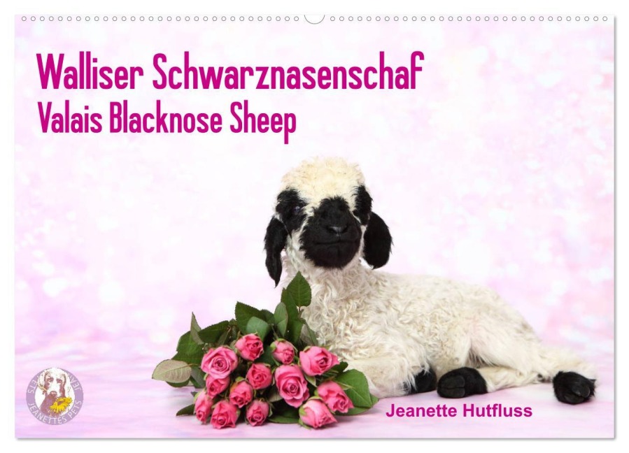 Walliser Schwarznasenschaf Valais Blacknose Sheep (Wandkalender 2026 DIN A2 quer), CALVENDO Monatskalender - Jeanette Hutfluss