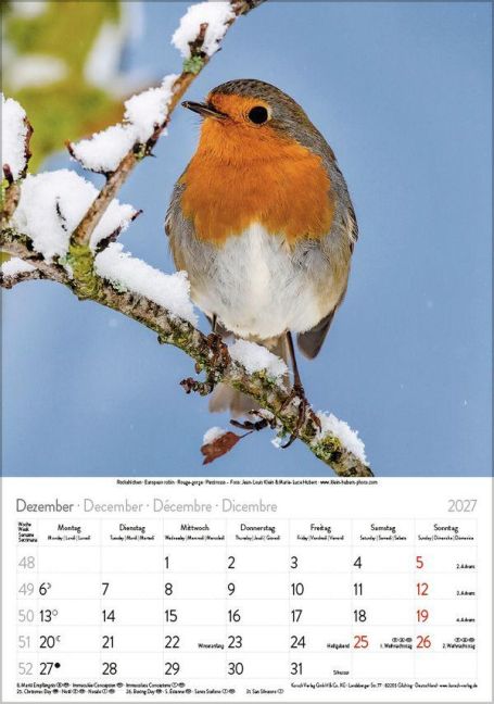 InsideView 12