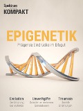 Cover-Bild zum Titel 'Spektrum Kompakt - Epigenetik 2' von ''