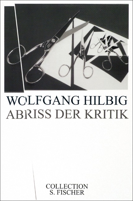 Abriss der Kritik - Wolfgang Hilbig