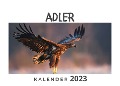 Adler - Bibi Hübsch