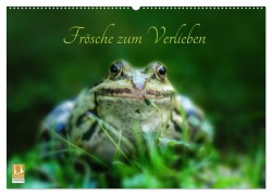 Frösche zum Verlieben (Wandkalender 2025 DIN A2 quer), CALVENDO Monatskalender - Kathrin Gawlik