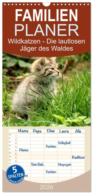 Familienplaner 2026 - Wildkatzen - Die lautlosen Jäger des Waldes mit 5 Spalten (Wandkalender, 21 x 45 cm) CALVENDO - Arno Klatt