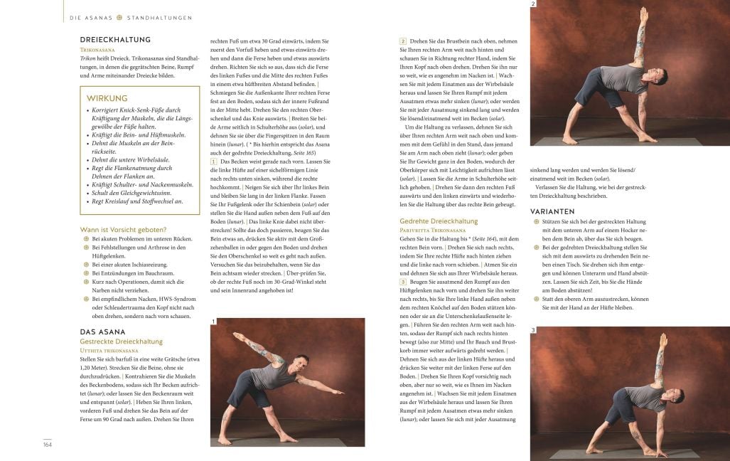 InsideView 8