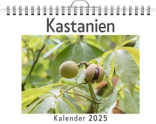 Cover-Bild zum Titel 'Kastanien' von 'Jonas Schulz'